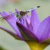 DragonflyMarnee ๐บ๐ฆ๐ป๐ป ๐บ๐ฆ (@dragonfly34343) Twitter profile photo DragonflyMarnee ๐บ๐ฆ๐ป๐ป ๐บ๐ฆ (@dragonfly34343) Twitter profile photo