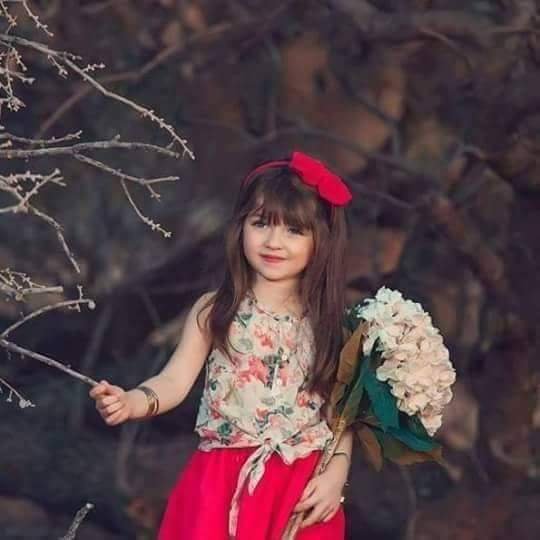 AhmedRc2's profile picture. 