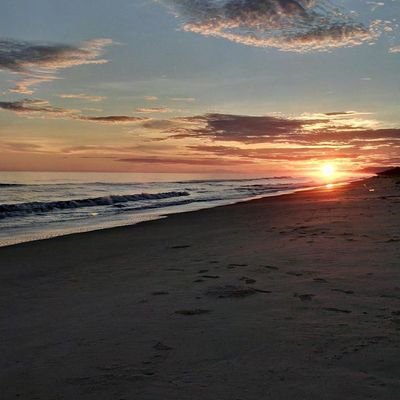 pacheco_carloa's profile picture. 