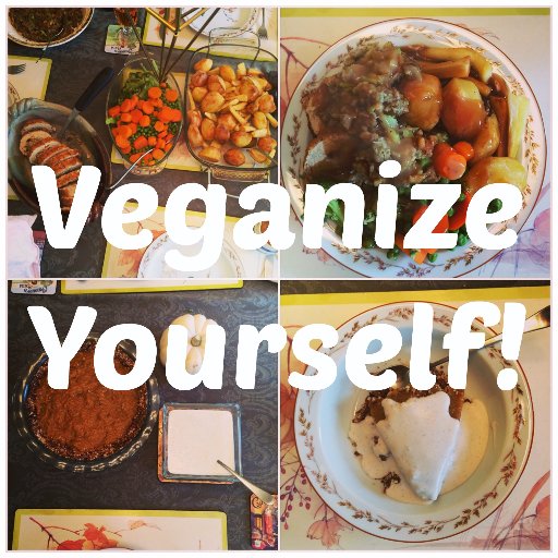 A vegan guy here to inspire others to start their own vegan journey, for your health, for the animals, for the environment. Happy to help you veganize yourself!