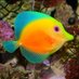 Emoji Aquarium (@EmojiAquarium) Twitter profile photo