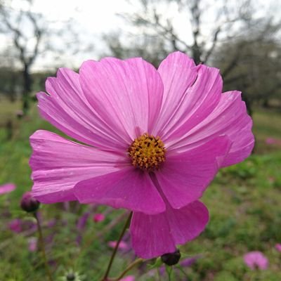 ju_den_chu's profile picture. 軟体に憧れる！
横リプ、無言フォロー失礼します(^^;