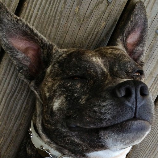 eamonhigh's profile picture. 