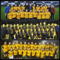 DCU Ladies GAA (@dculadiesgaa) 's Twitter Profile