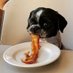 aww cute! 🐶 (@awww_cutie) Twitter profile photo aww cute! 🐶 (@awww_cutie) Twitter profile photo