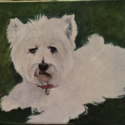 srrankin's profile picture. 