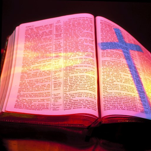 LadyYahsMouse's profile picture. Mighty believer of Messiah Yeshua/Jesus Christ seeker of The Almighty's truth, Reader & teller of His Word, Physically disabled but mentally sharp.