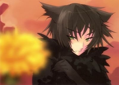 Wolf_of_Wolf's profile picture. Don't touch my friends and we won't have a problem!