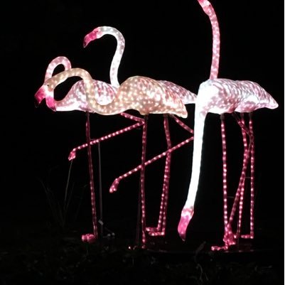 JasmineFire44's profile picture. 