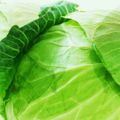 pramerain's profile picture. つふやきません！たぶん、、、