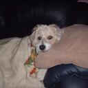 Wayne Carlin - @wmc01 - Twitter