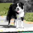 Ian Rohde - @rainycreek - Twitter