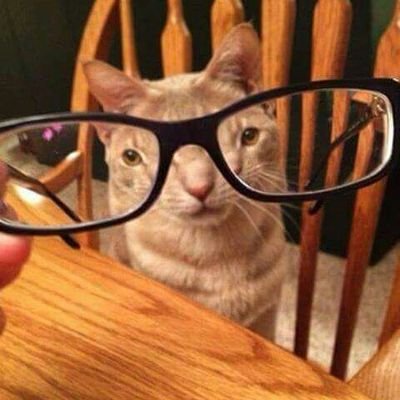 nbrown796's profile picture. 