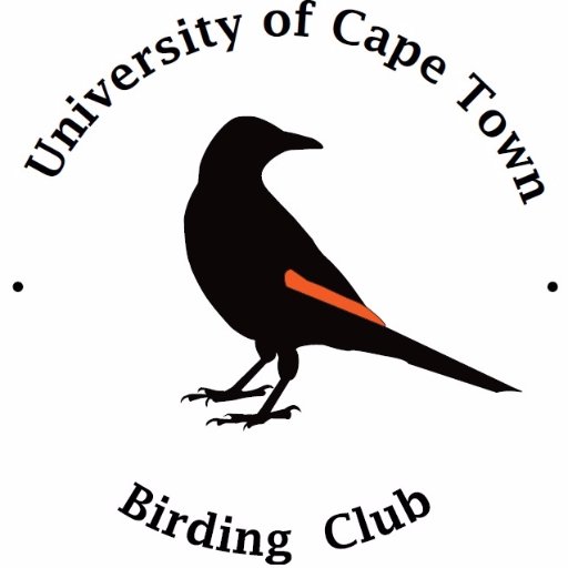 UCT Birding Club