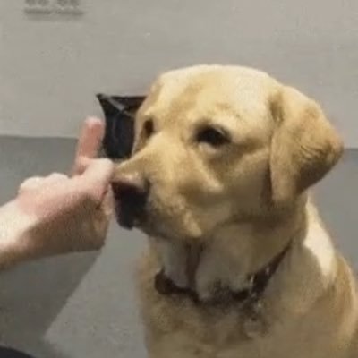 X_Trip_World's profile picture. 