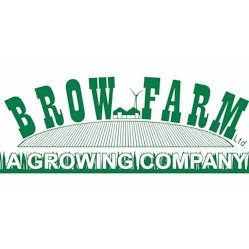 Brow Farm