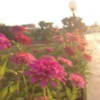 سالم بن أحمد النصري (@sak3131) Twitter profile photo