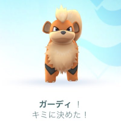 aygo2112's profile picture. 少しは君のこと、わかってるつもり