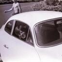 LOREN STOUT - @captain356sc - Twitter