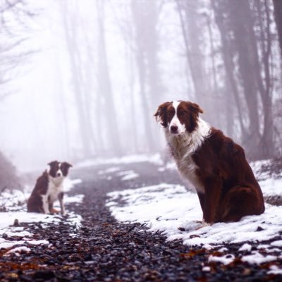 TravelingPack's profile picture. questions for the “educated” world