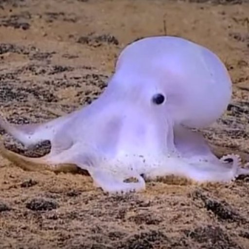 HPMHall's profile picture. 