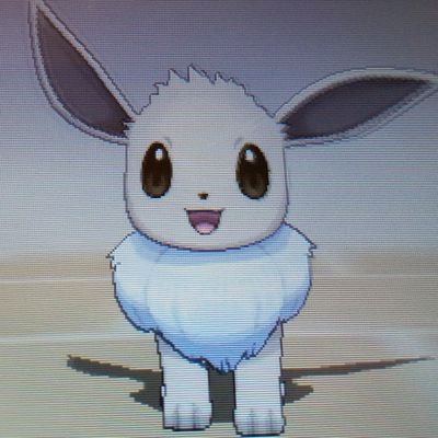 リリー ポケモン No Twitter 懐かしいのポケモンコロシアム 大好きなムウマに一つでも多くリボンを付けたいということで始めました リライブしないとつけられないリボンがあるからコロシアムからスタート 性格の厳選で１日おわった 笑 ムウマのままで育てたい
