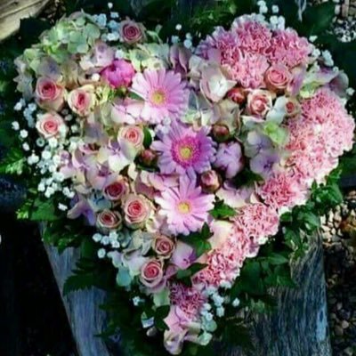 HimalayaIwasme3's profile picture. If u be my star, I'll be ur sky^^