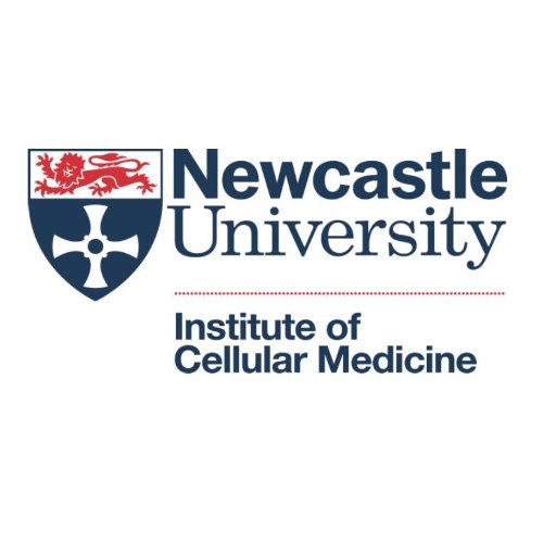The Institute of Cellular Medicine at Newcastle University. At the forefront of translational medical research.