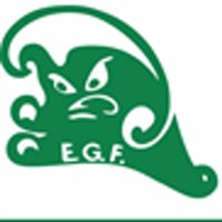 EGFCMS(@EGFCMS) 's Twitter Profile Photo