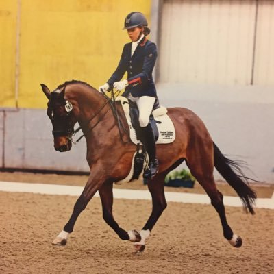 Dressage & show rider. Sponsored by Nupafeed, Snuggy Hoods, ESP, Dressage Test Pro. Brand ambassador for Smart Grooming Instagram: Laura_f_fisher