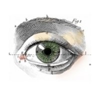 Old Imaginery (@oldimaginery) Twitter profile photo