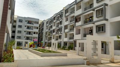 dsrwhitewaters's profile picture. 