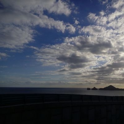 elitatyz's profile picture. Única