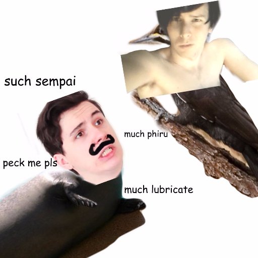 FabulosIceCream's profile picture. 