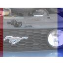 Simon Black, Owner - @MuscleMustangPa - Twitter