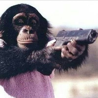 Senpanzee_'s profile picture. 