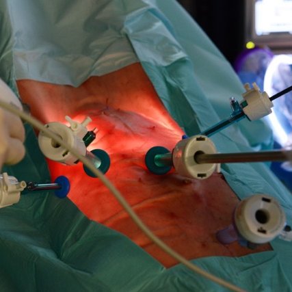 Supporting Clinicians and Healthcare professionals in the delivery of Surgical Simulation Training and Healthcare related courses and conferences