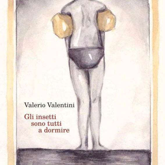 gliinsetti's profile picture. Gli insetti sono tutti a dormire. Una raccolta di racconti di @valeriovvrm, @edizionilagru.