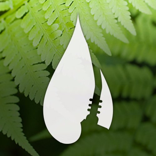 BioGasoline's profile picture. BioGasoline.ca's mission is to accelerate the world's transition to a hybrid clean energy fuel source for vehicles