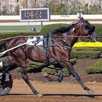 HRC News (@harnessracenews) 's Twitter Profile