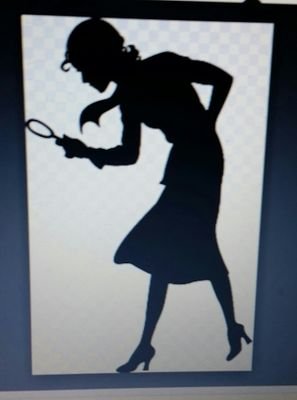 Judicial background (civil, criminal & family)
Irreverent, sarcastic, excellent detective skills...& this mama can cook!
Fumbling my way thru twitter.