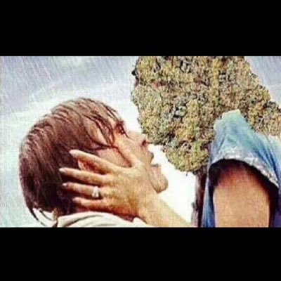 chiefbruh42zero's profile picture. chief