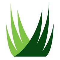 SYNLawn (@synlawn) 's Twitter Profile