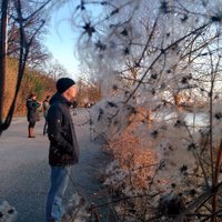 Adriel Kloppenburg (@adriel) 's Twitter Profile