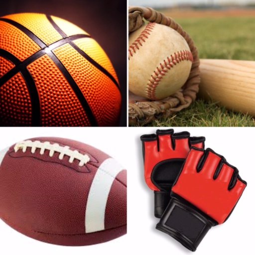 Big 4 Sports Takes Profile