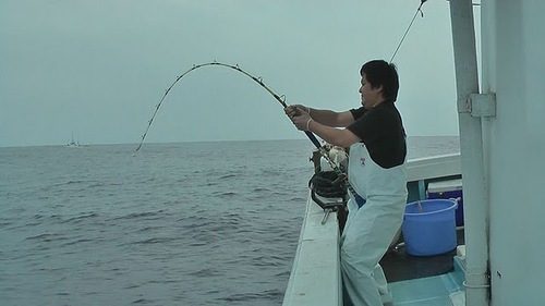 fishingalliys's profile picture. 新横浜の沖釣り専門ショップ店長つぶやきその他釣りのことなら何でもお気軽にご相談下さい。
