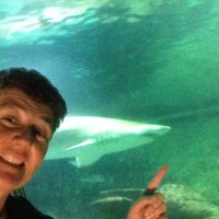 Julie Rogers (@jmrgoswans) 's Twitter Profile
