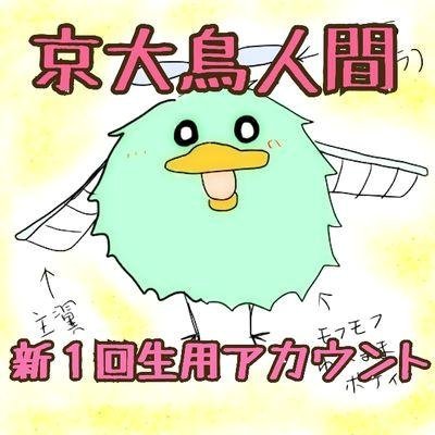 京大鳥人間19年度新歓さんのプロフィール画像