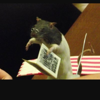 SavageRat's profile picture. Big daddy rodent😈 #effRatatouille Any bad broads hit my line: 1-800-RAT-FUCK