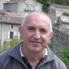 perimetrique's profile picture. protection périmétrique, sites sensibles, sécurité électronique, CCTV